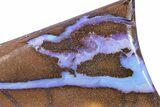 Galactic Boulder Opal Specimen - Queensland, Australia #383696-1